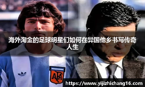 智博19有限公司